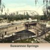 photo - suwannee springs  - colorized